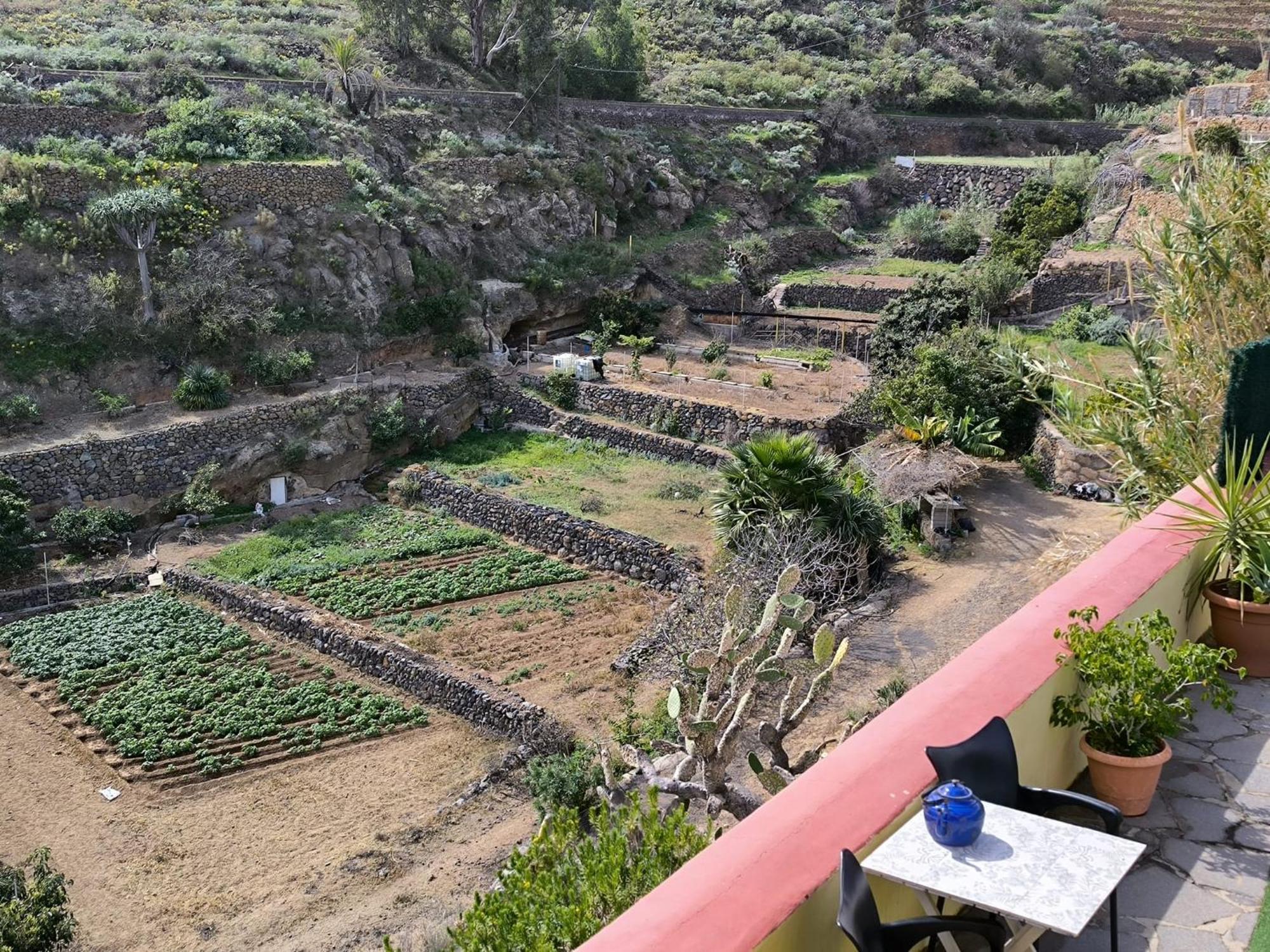 Güimar Hotel Rural La Raya 1866 מראה חיצוני תמונה
